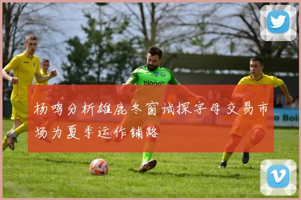 杨鸣分析雄鹿冬窗试探字母交易市场为夏季运作铺路
