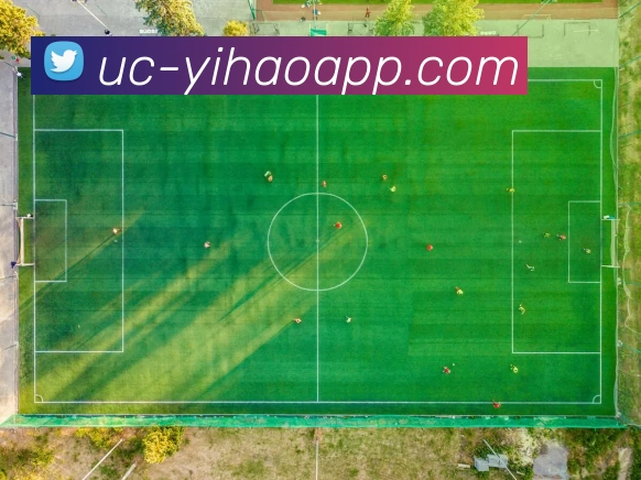 壹号娱乐APP 封面图